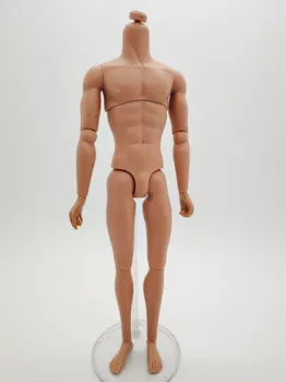 Fashion Royalty Homme 1,5 Венгерские игрушки для обеспечения целостности кожи, замена тела мужской куклы
